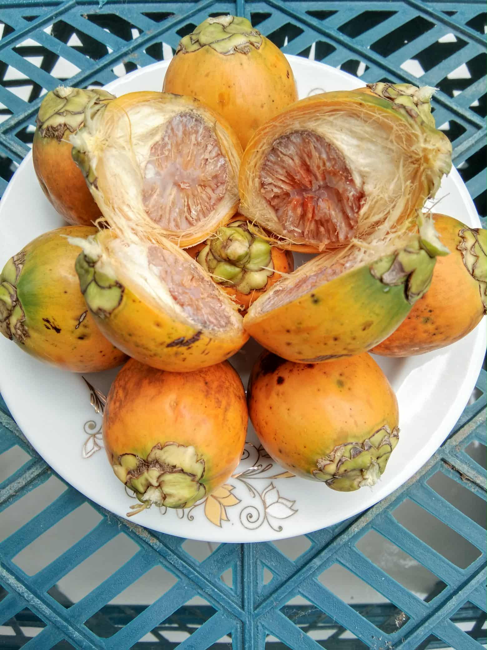 Battel Nut- 